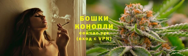ешки Аркадак