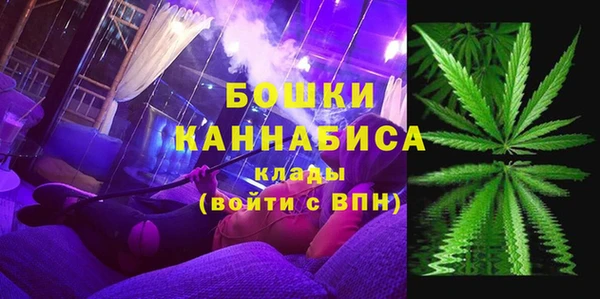 PSILOCYBIN Магас